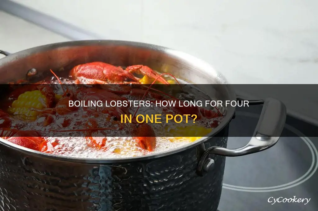 how long to cook 4 lobsters in one pot