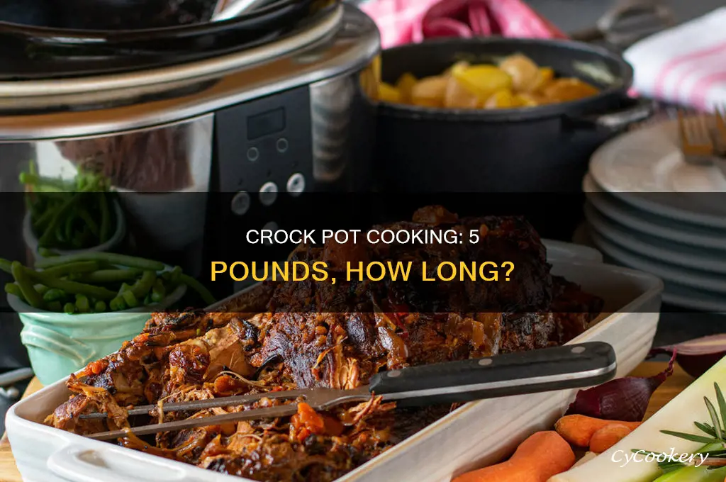 how long to cook 5 pounds in crock pot