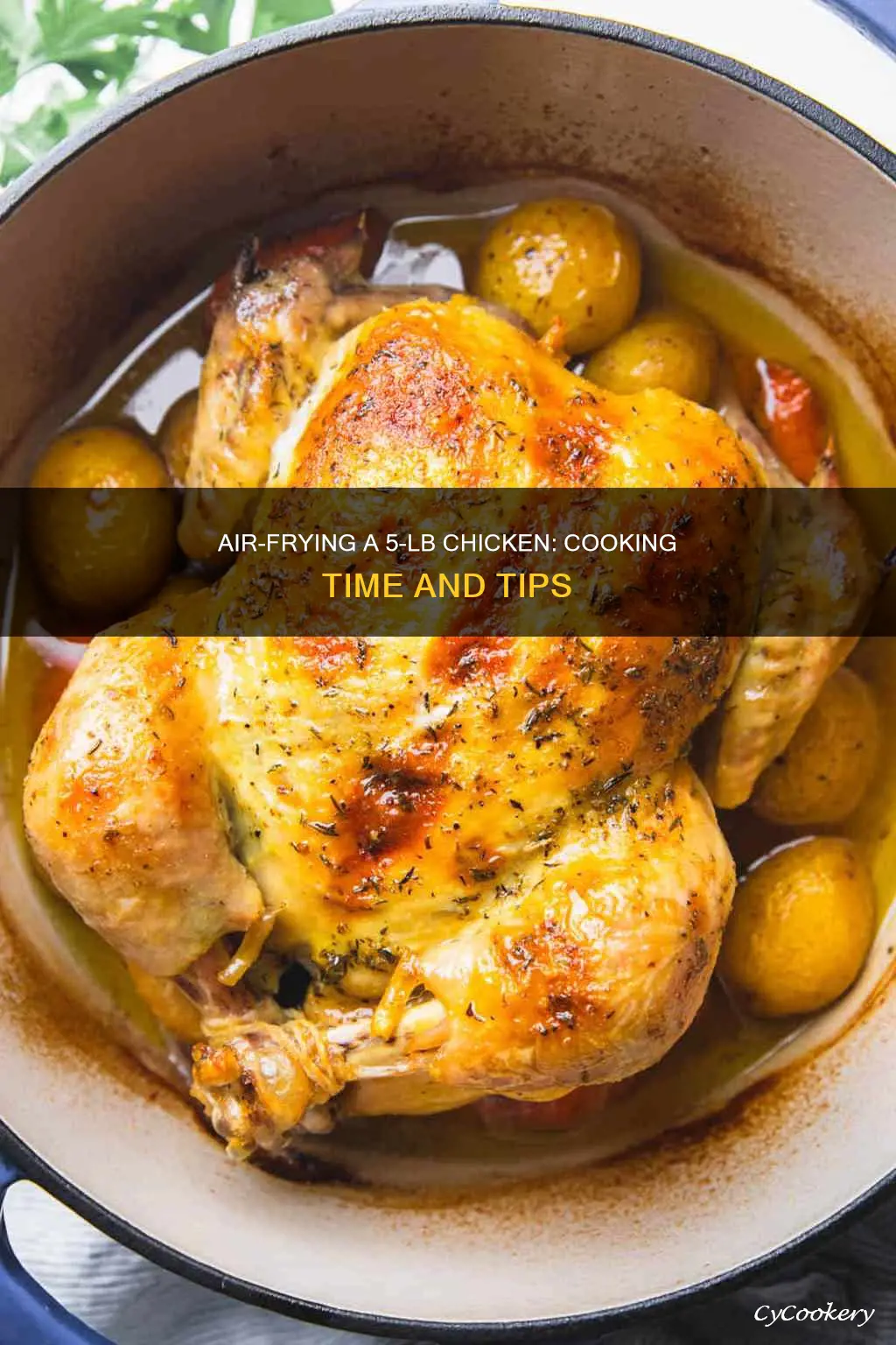 how long to cook 5lb chicken in air fryer