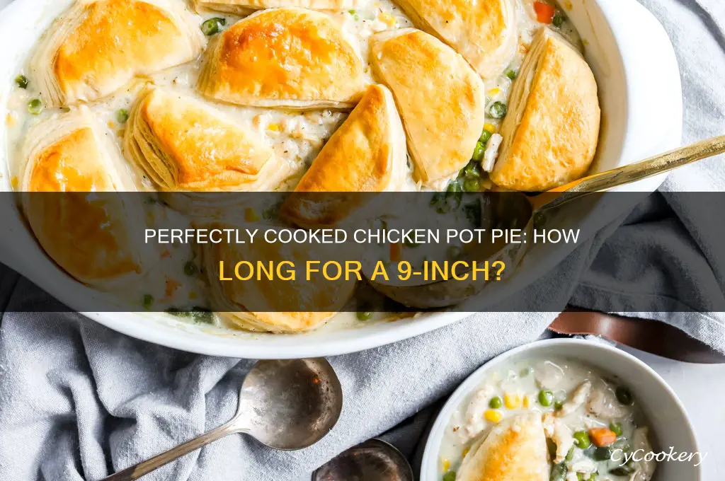 how long to cook a 9 inch chicken pot pie