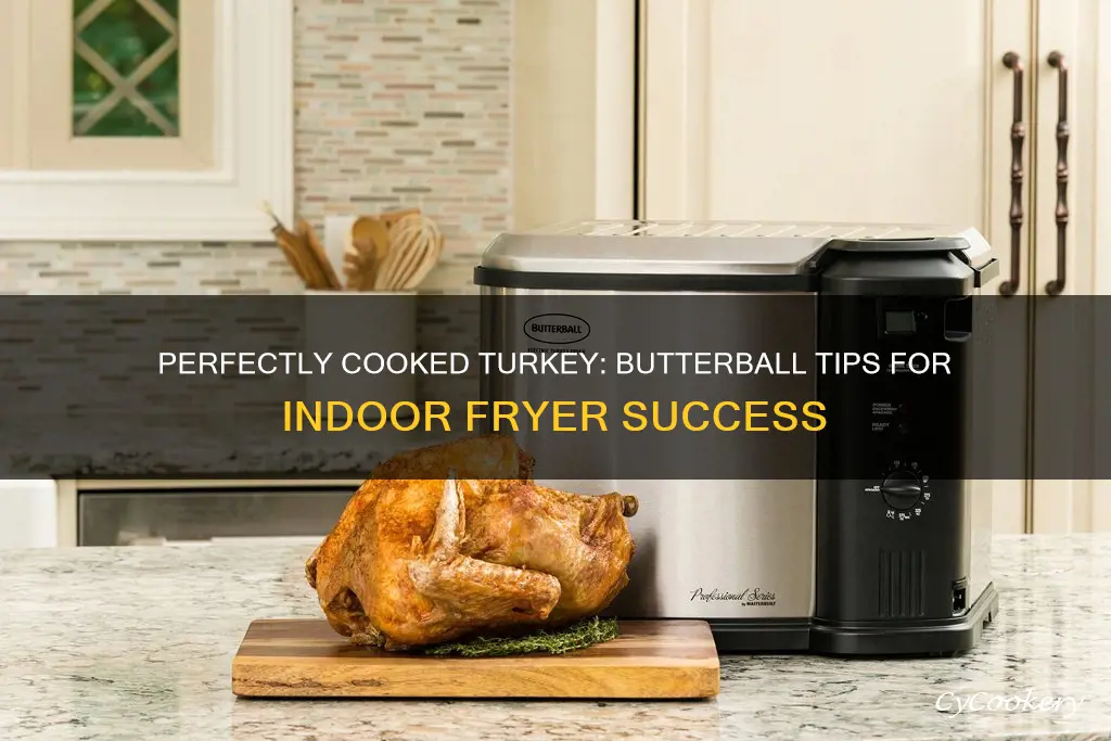 how long to cook a butterball turkey i indoor fryer