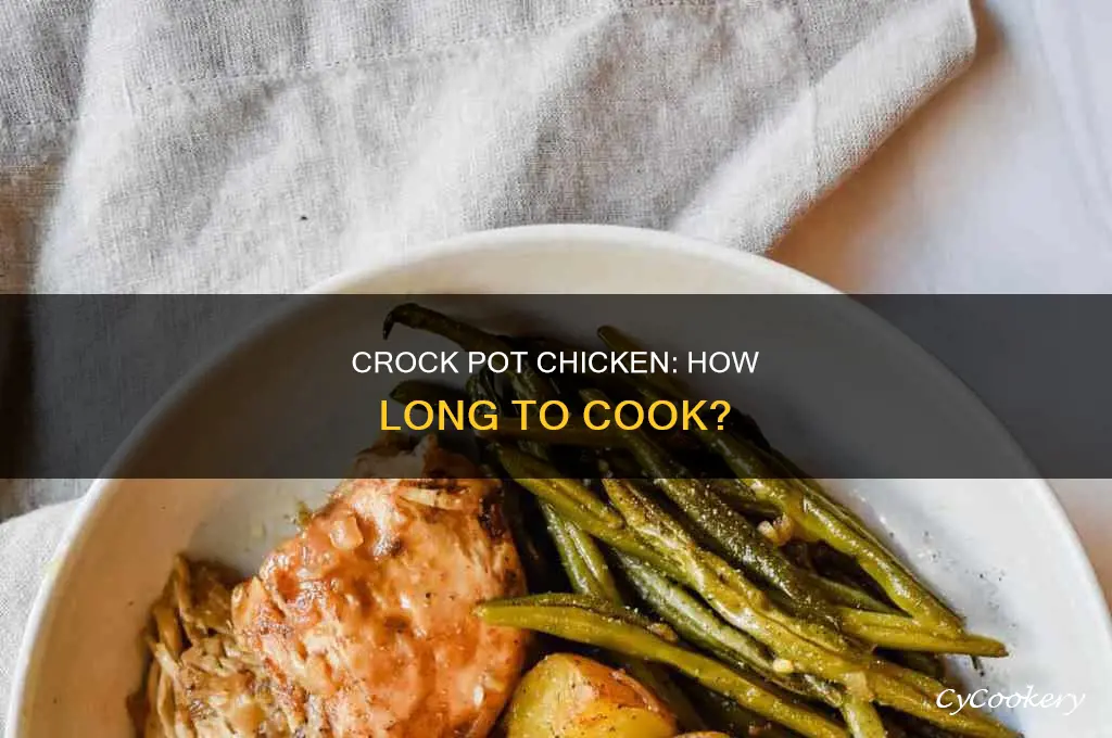 how long to cook a chiken in a crock pot
