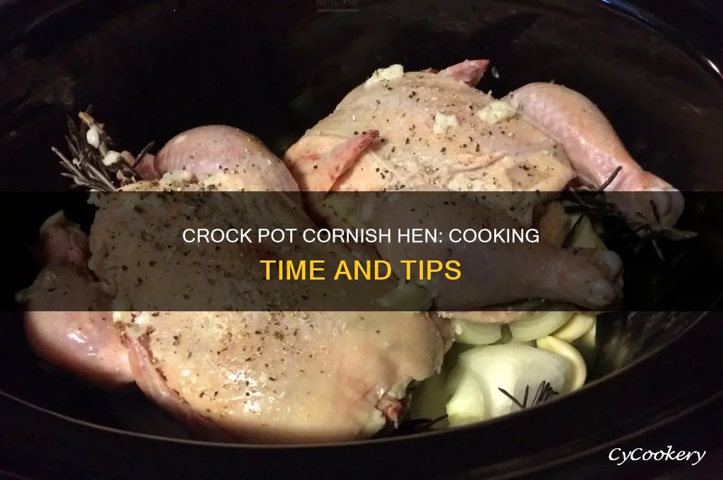 how long to cook a cornish hen in crock pot