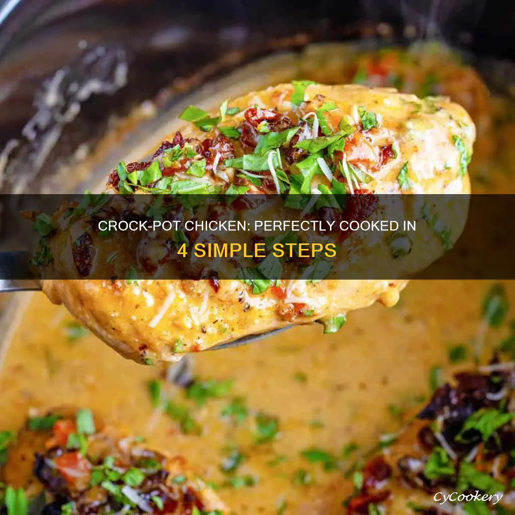 how long to cook a fryer chicken in crock pot