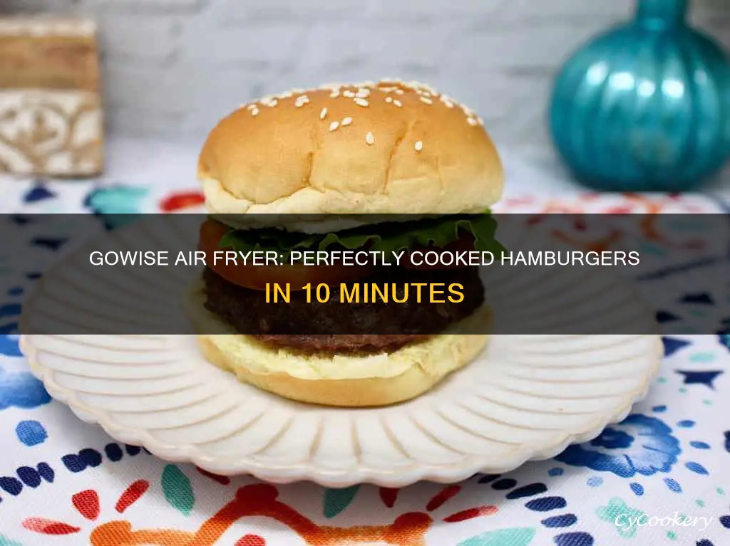 how long to cook a hamburger in gowise air fryer