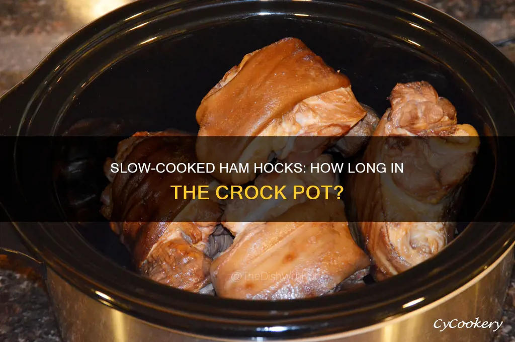 how long to cook a hamhock in a crock pot