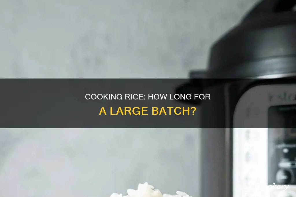how long to cook a hige pot of rice
