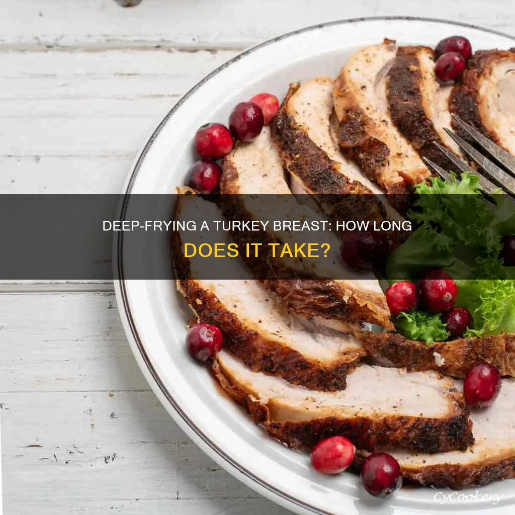 how long to cook a turkey breast in deep fryer
