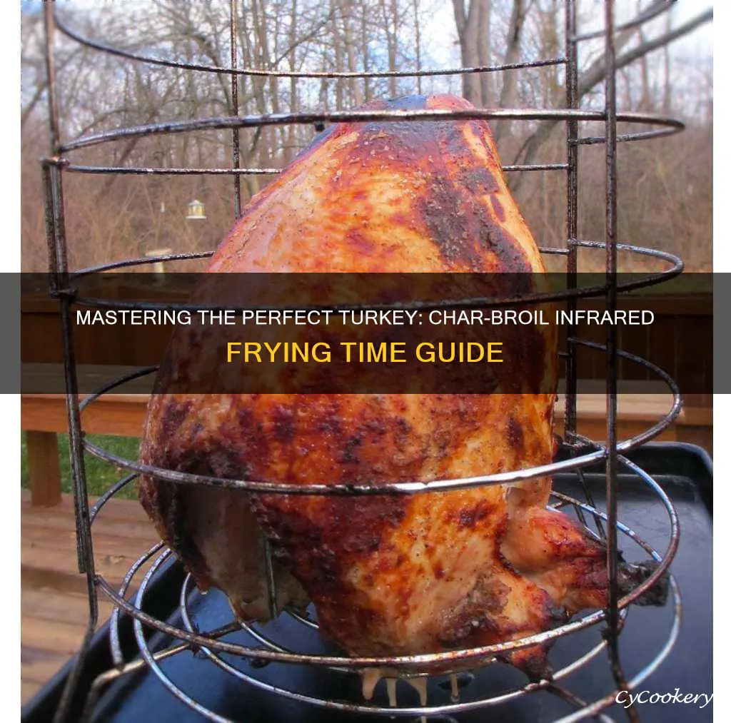 how long to cook a turkey char broil infared fryer