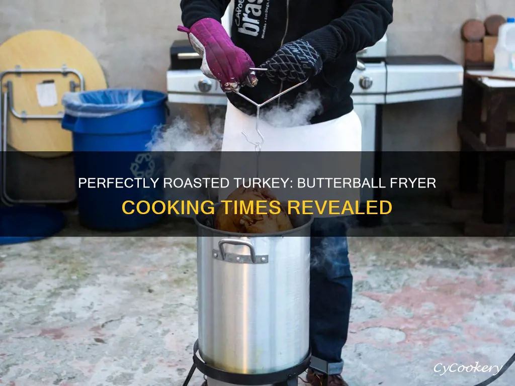 how long to cook a turkey in a butterball fryer