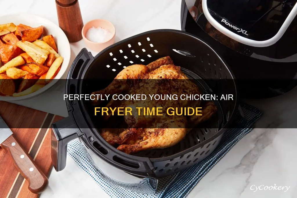 how long to cook a young chicken in air fryer