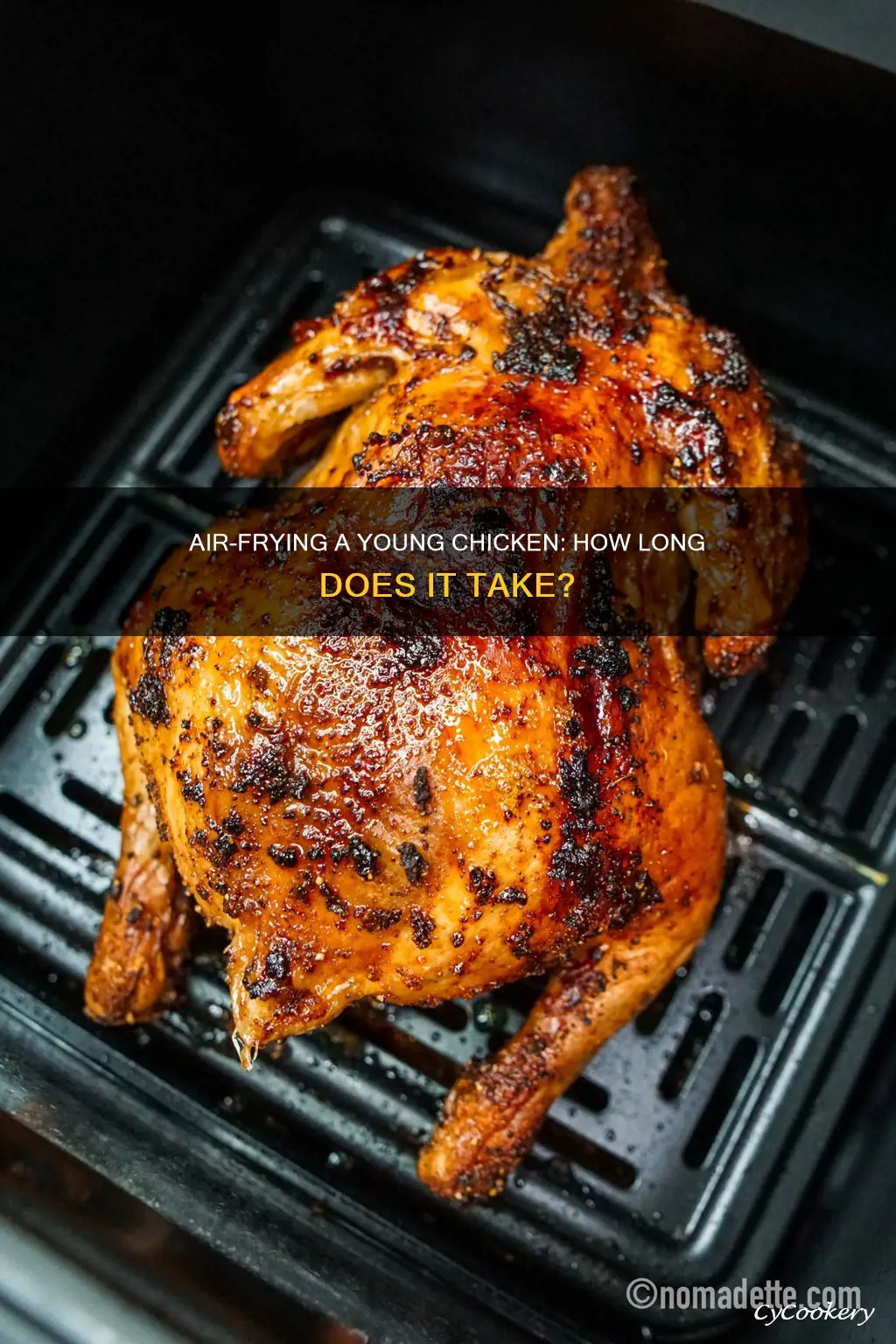 how long to cook a young chicken in air fryer