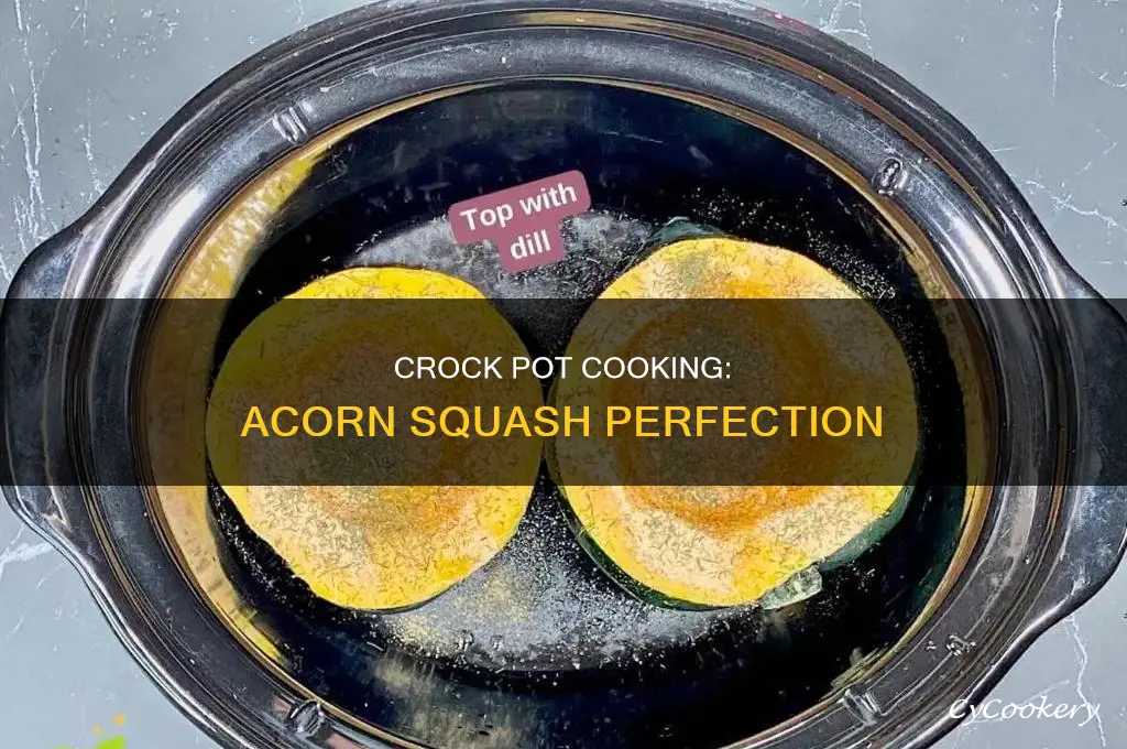 how long to cook acorn squash in crock pot