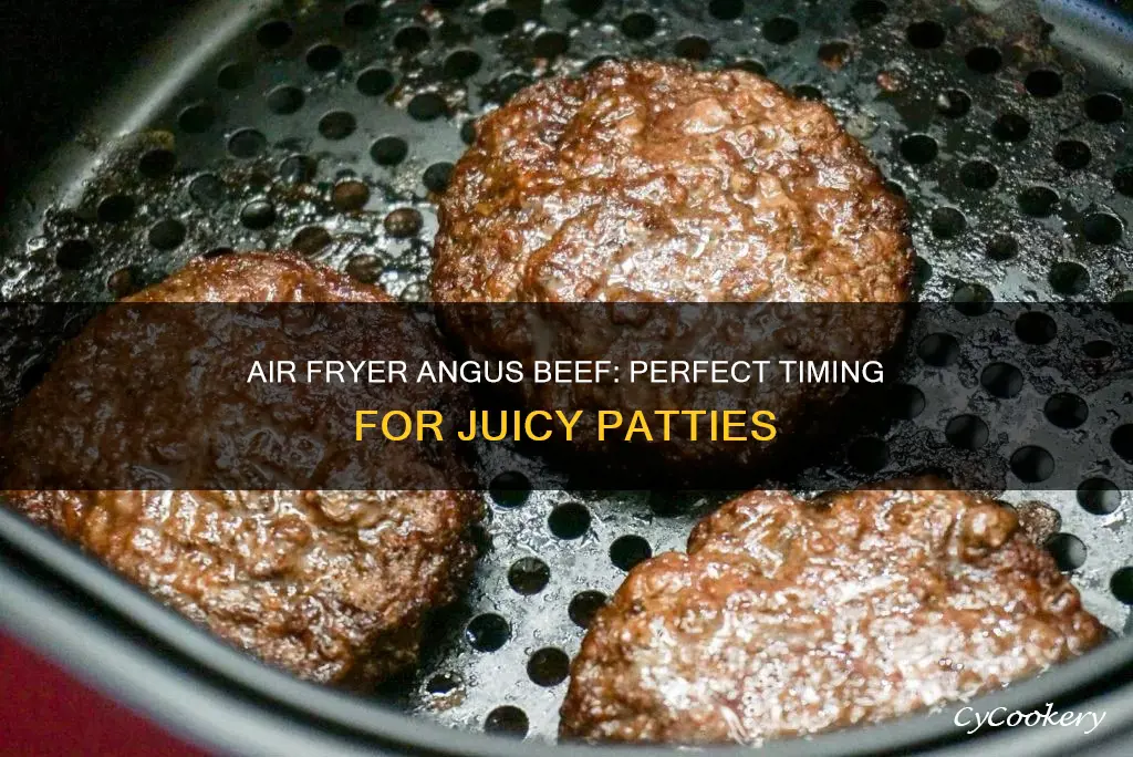 how long to cook angus beef patties in air fryer