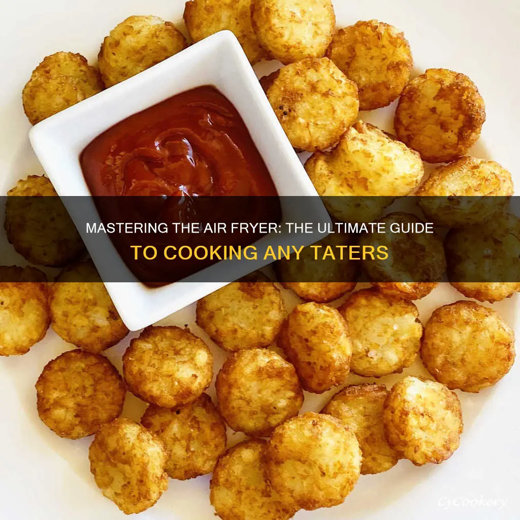 how long to cook any tizers in air fryer