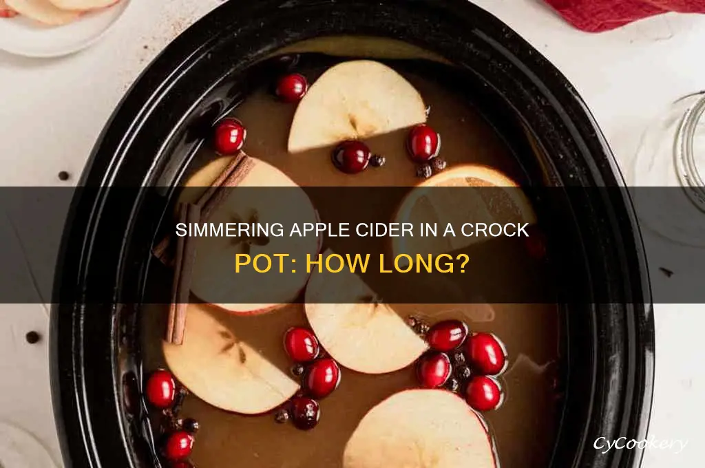 how long to cook apple cider in crock pot