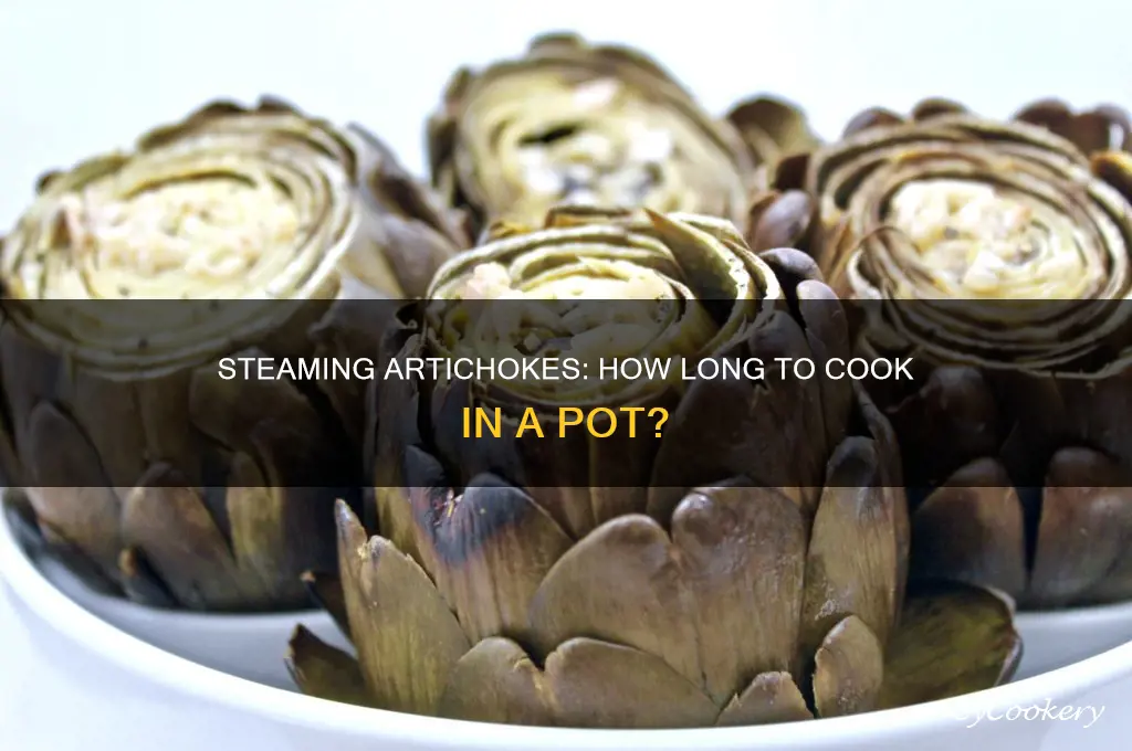 how long to cook artichoke in pot
