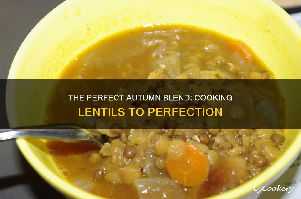 how long to cook autumn blend lentils