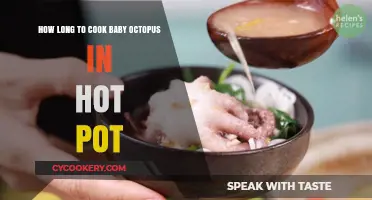 Baby Octopus Hot Pot: Cooking Time Perfection