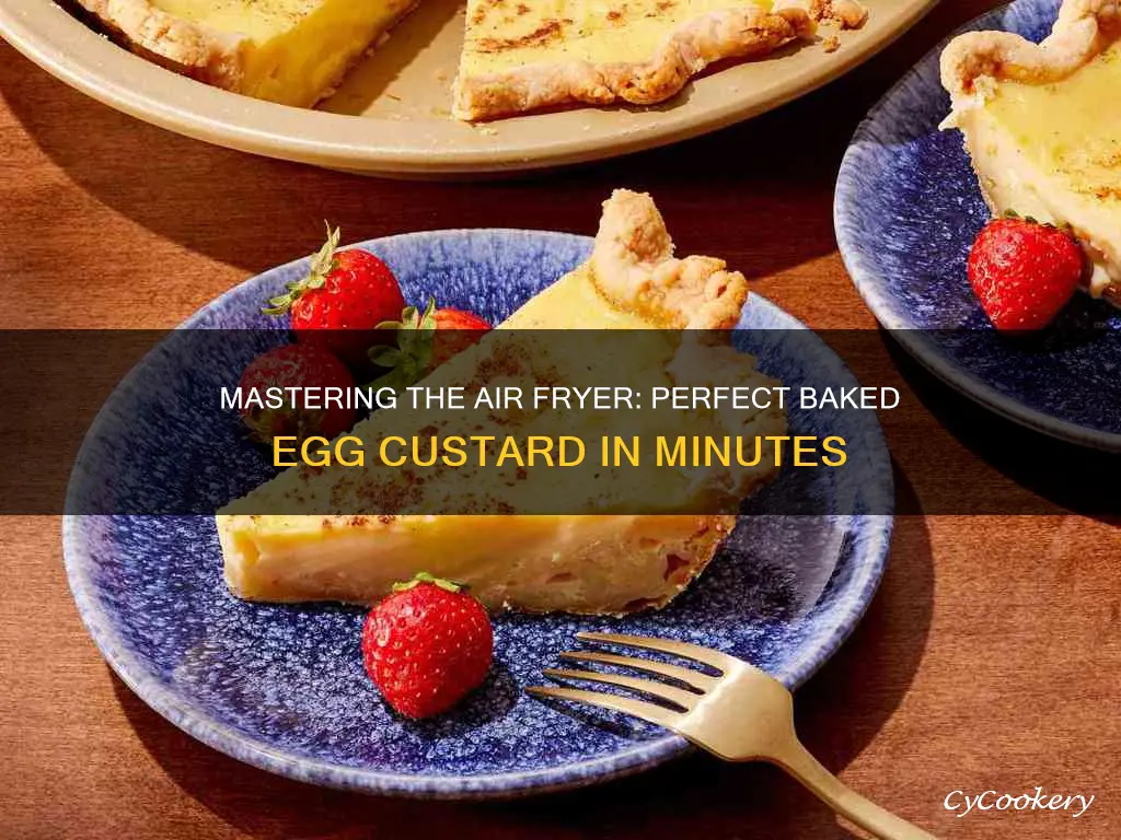 how long to cook baked egg custard in air fryer