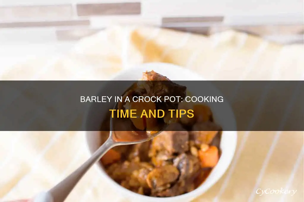 how long to cook barley in crock pot