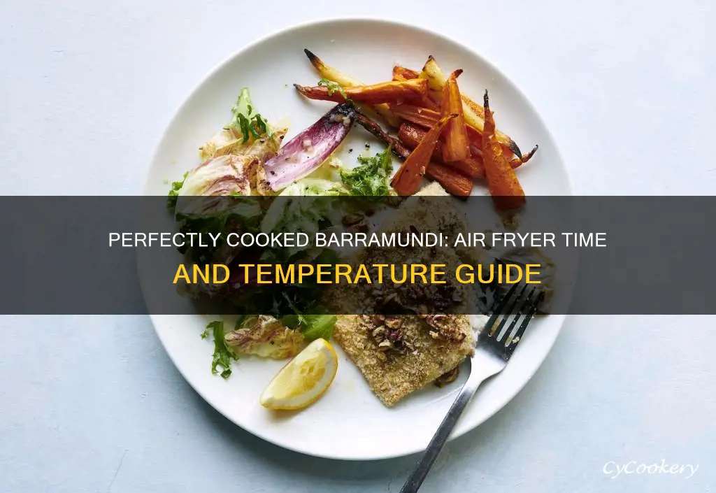 how long to cook barramundi in air fryer