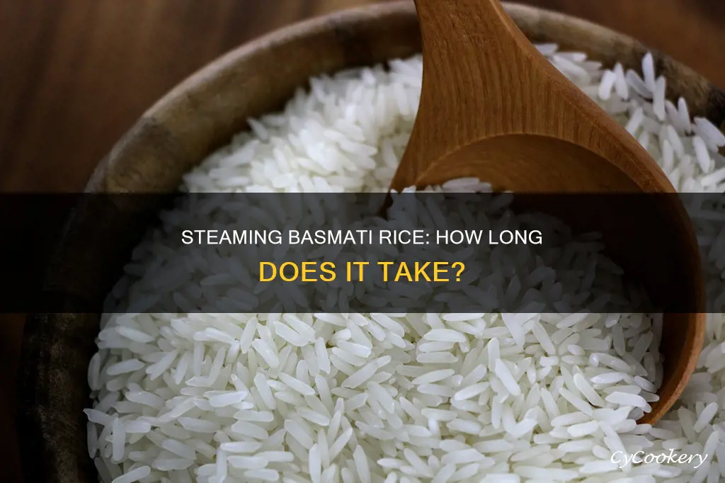 how long to cook basmati rice in a steamer