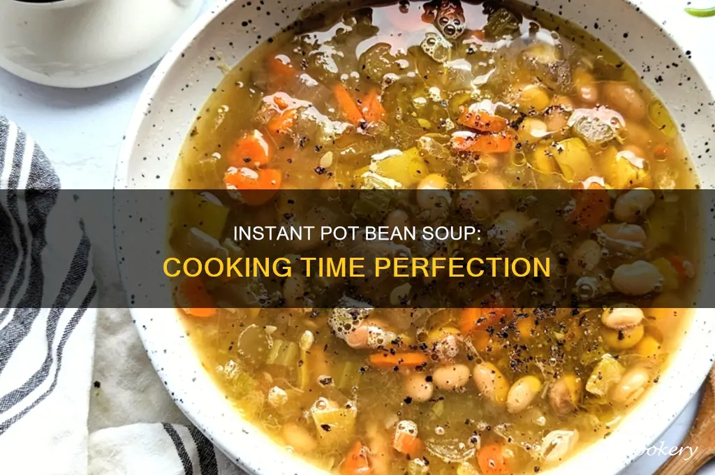 how long to cook bean soup in instsnt pot