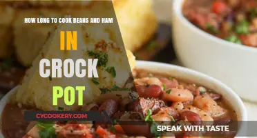 Crock Pot Cooking: Beans and Ham Perfection