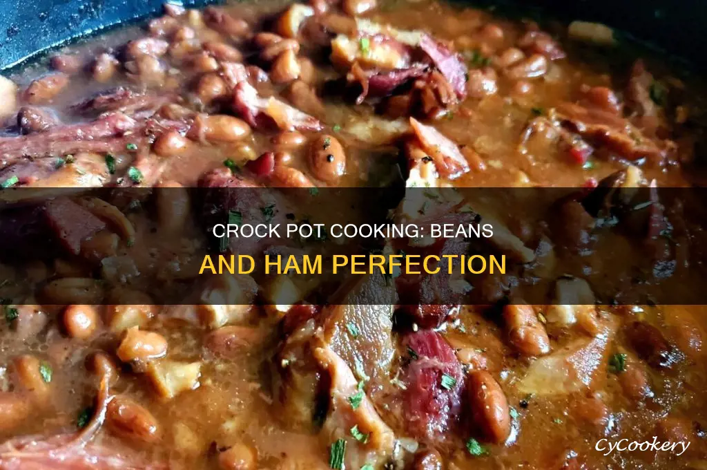 how long to cook beans and ham in crock pot