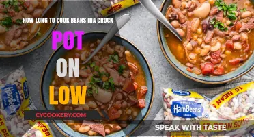 Crock Pot Cooking: Beans, Low and Slow
