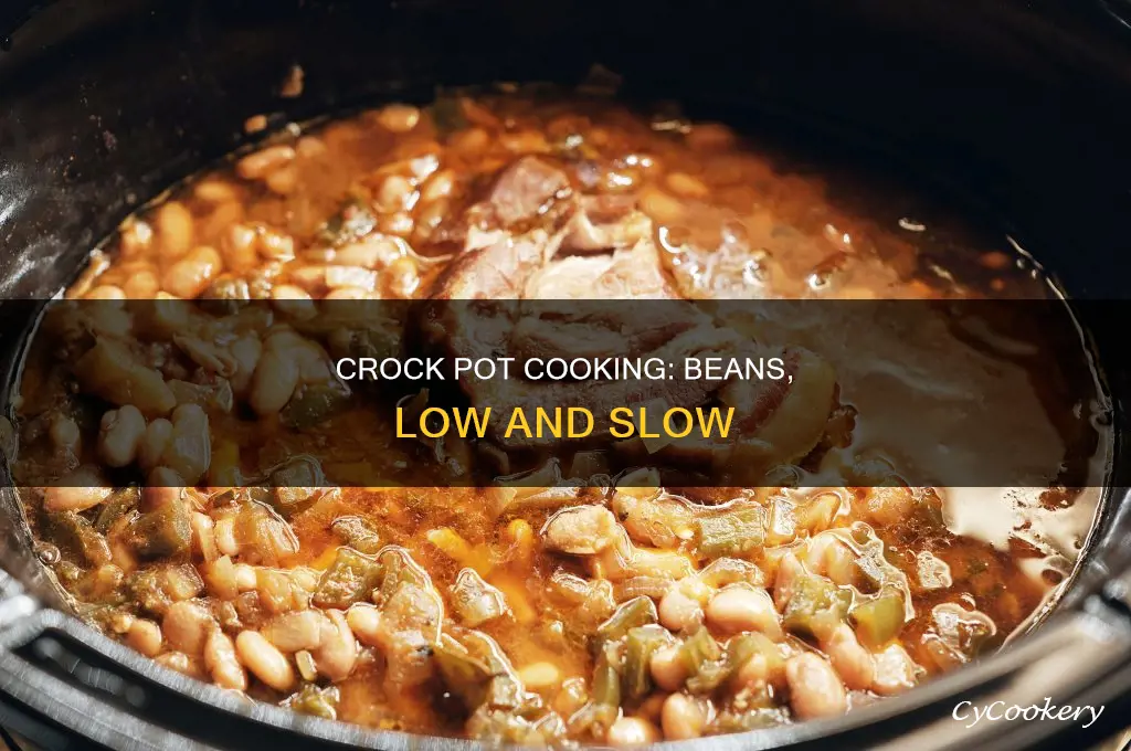 how long to cook beans ina crock pot on low