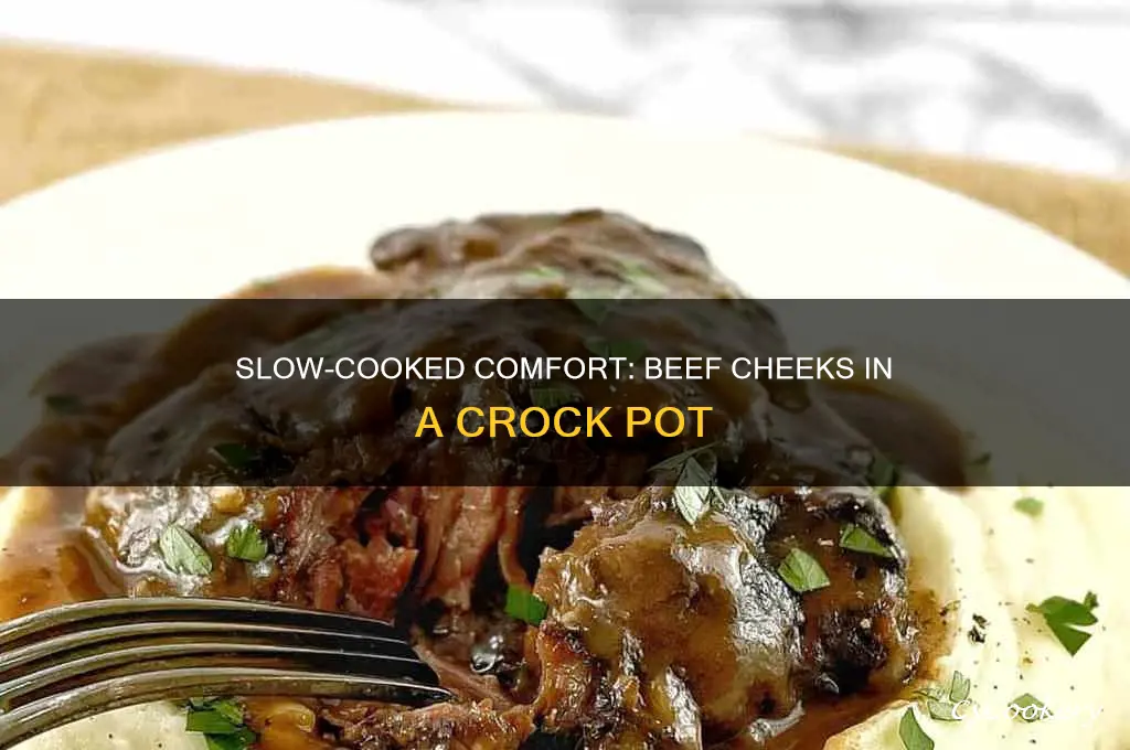 how long to cook beef cheeks in crock pot
