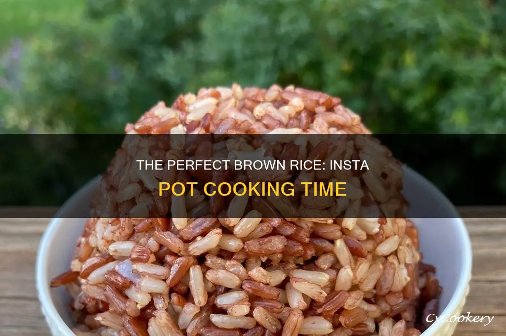 how long to cook beown rice in insta pot