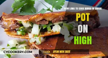 Cooking Birria: Crock Pot High Settings Explained