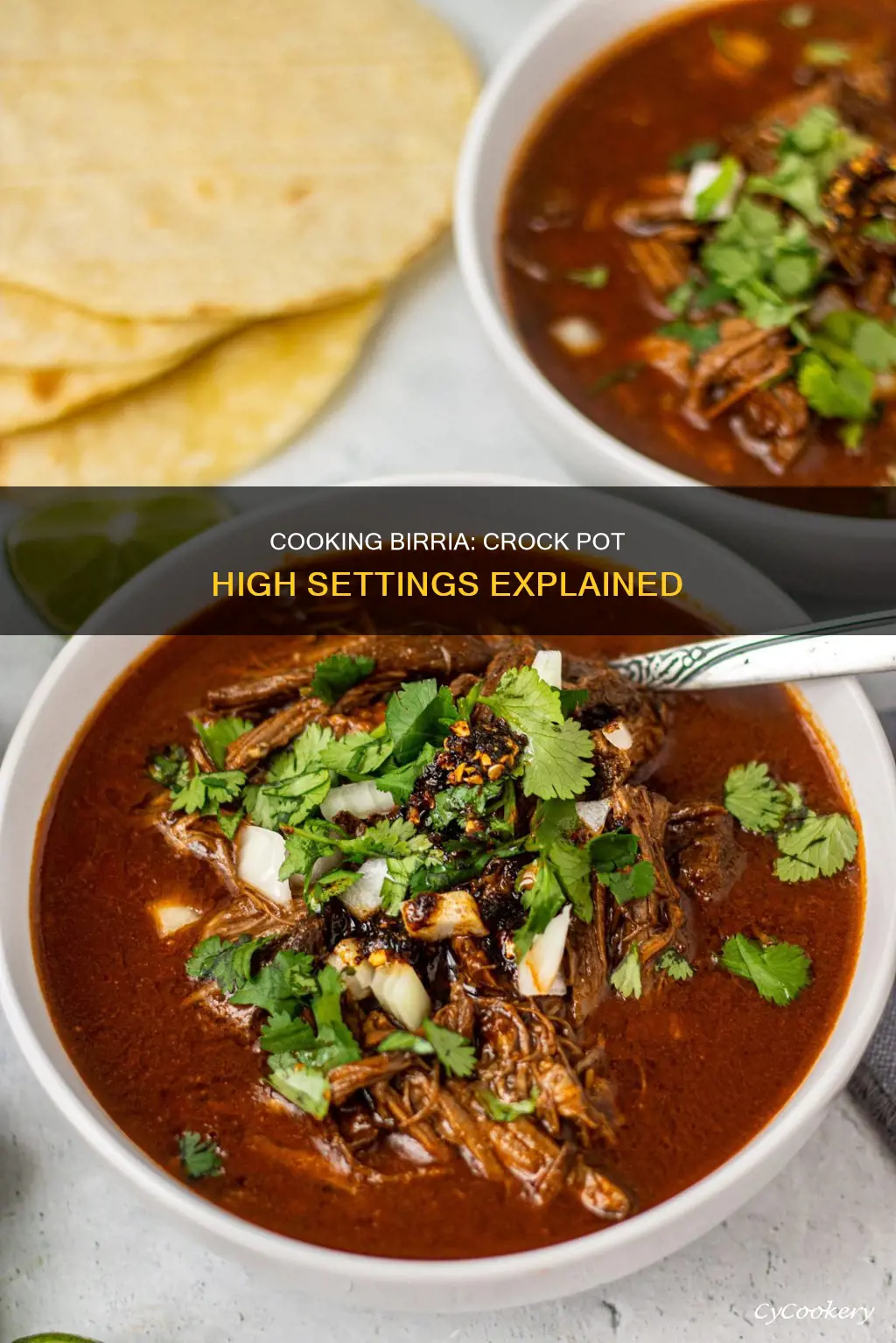 how long to cook birria in crock pot on high