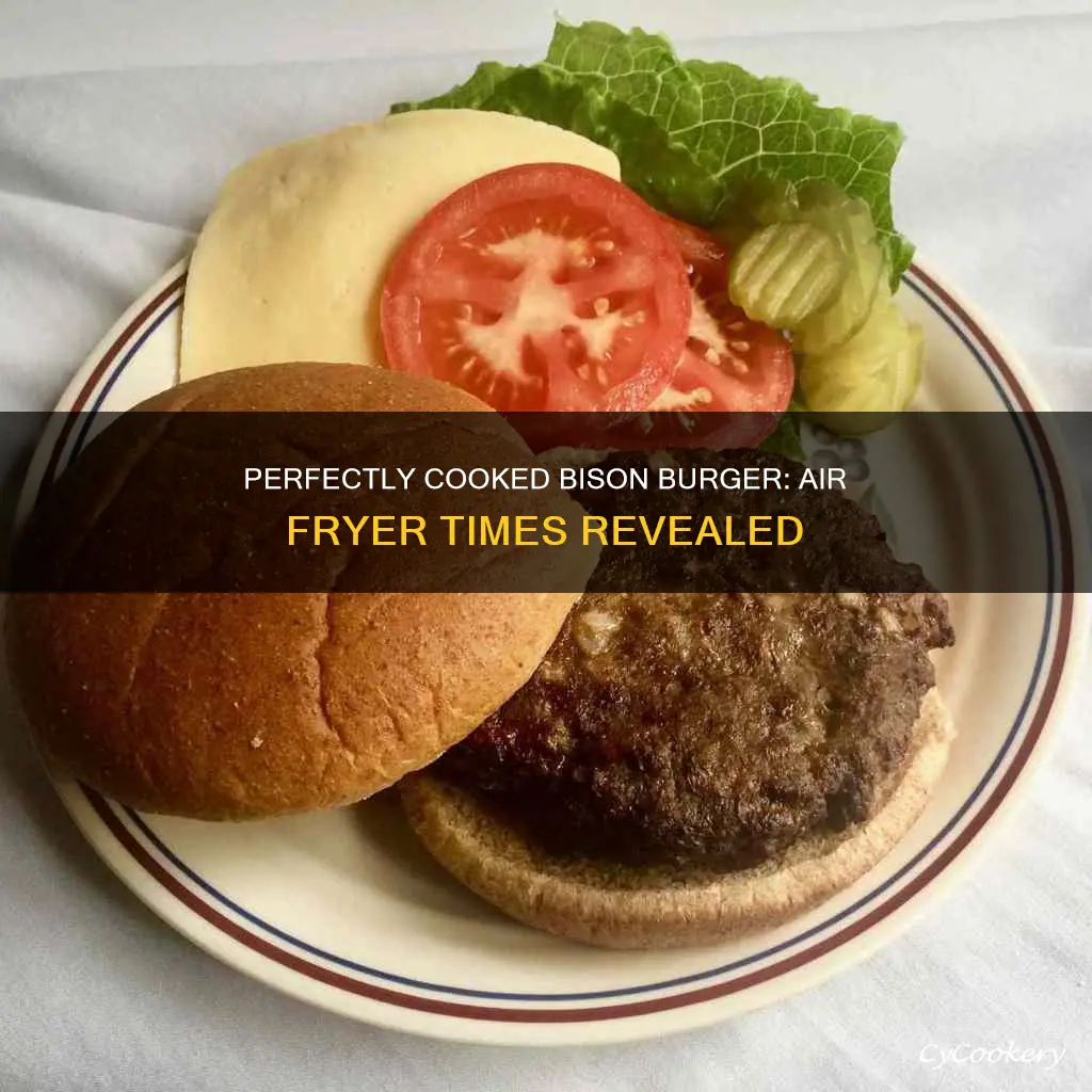 how long to cook bison burger in air fryer