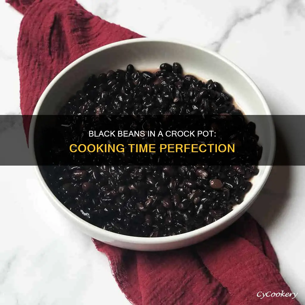 how long to cook black beans in crock pot