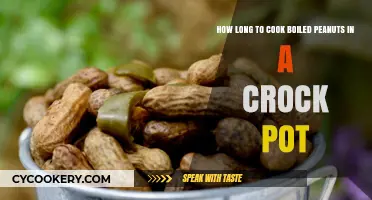 Crock-Pot Boiled Peanuts: How Long to Cook?