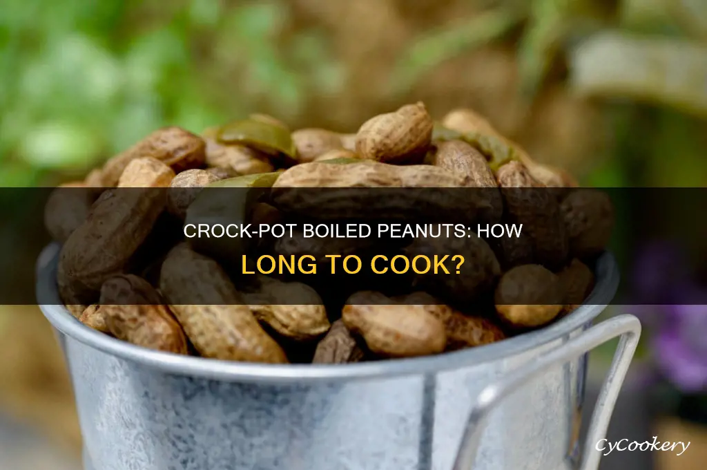 how long to cook boiled peanuts in a crock pot