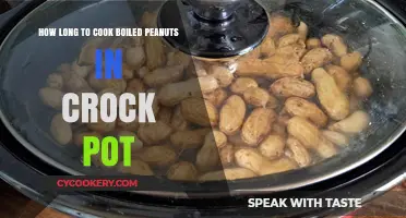 Crock Pot Boiled Peanuts: Cooking Time and Tips