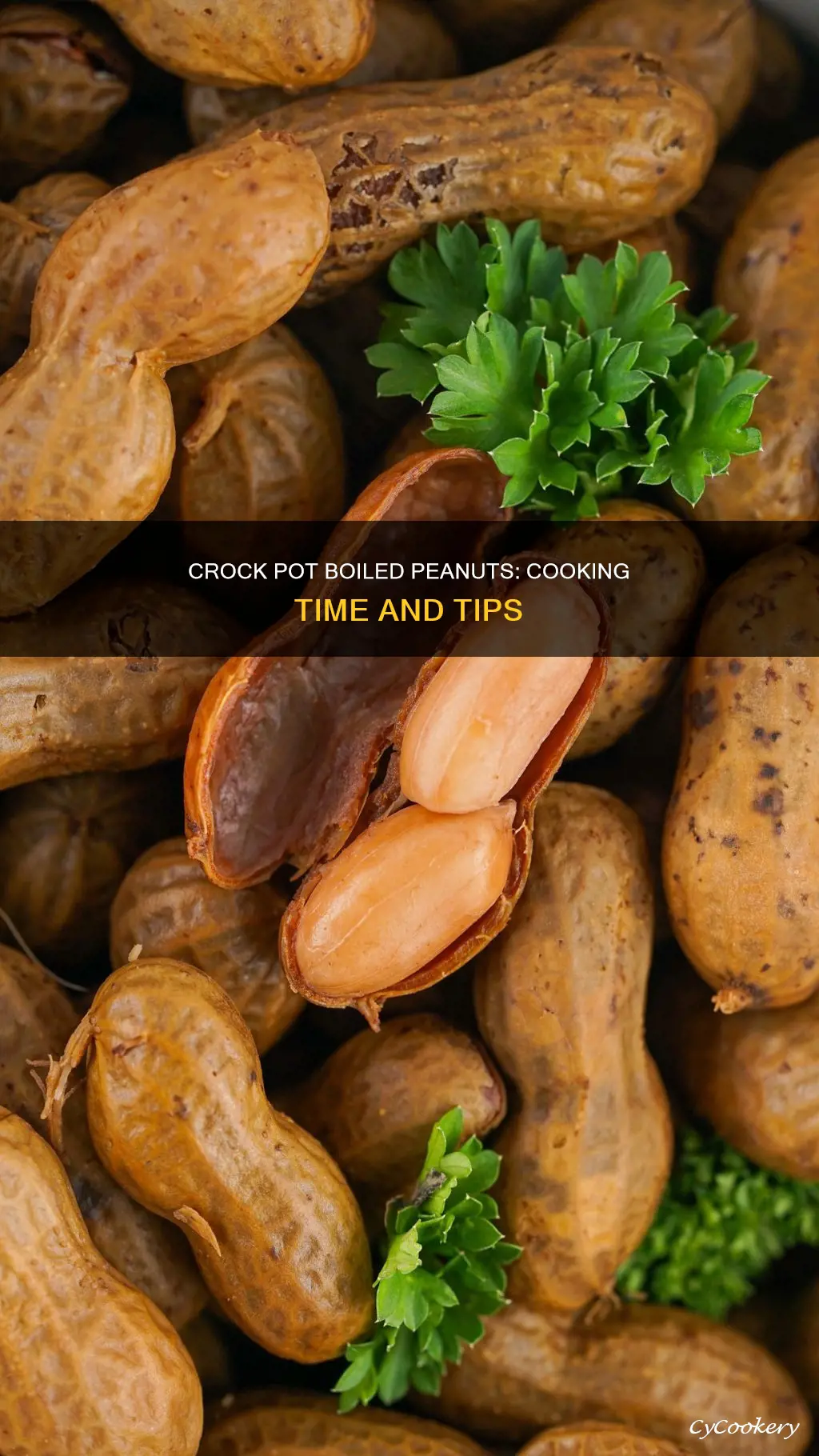 how long to cook boiled peanuts in crock pot