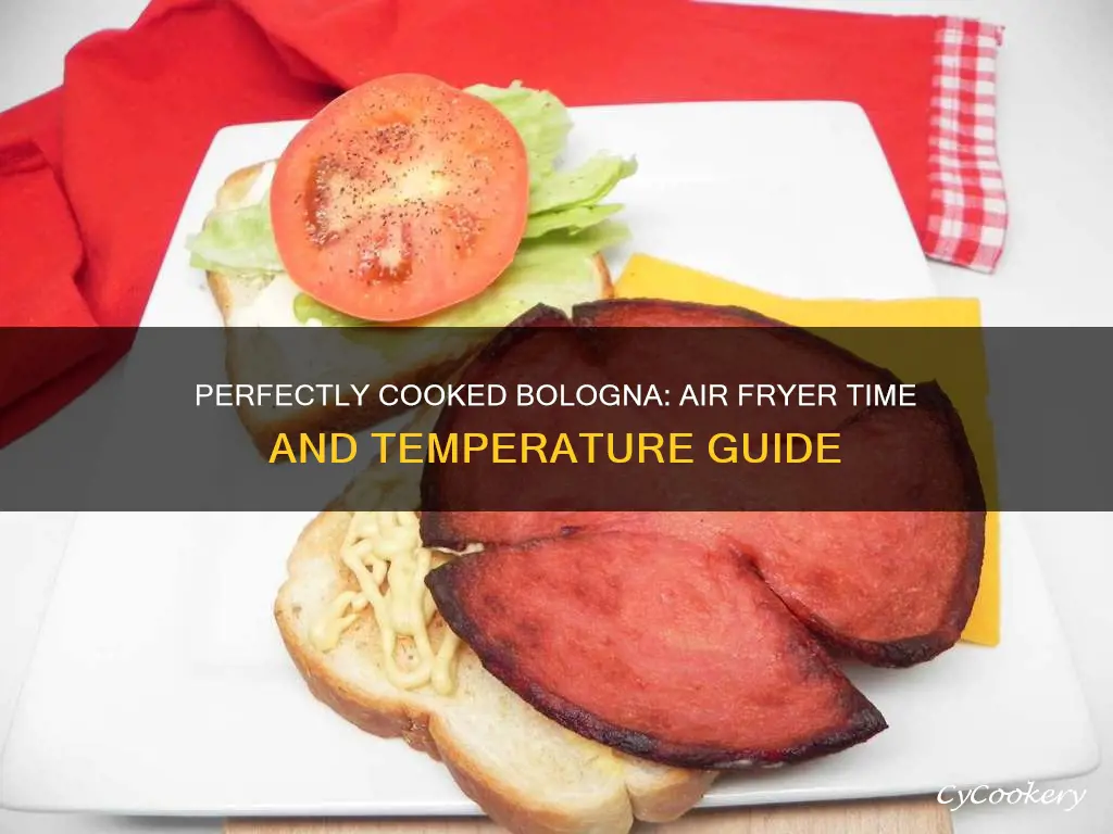 how long to cook bologna in air fryer