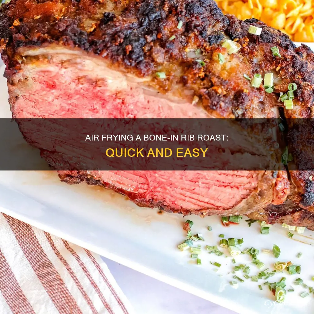 how long to cook bone-in rib roast in air fryer