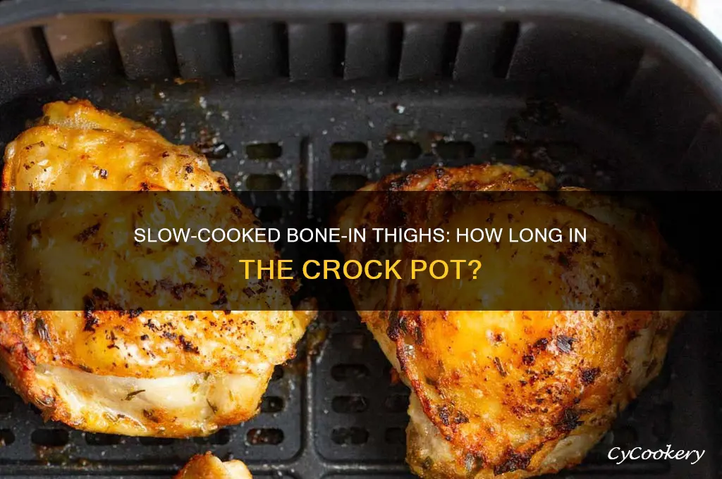 how long to cook bone in thighs in crock pot
