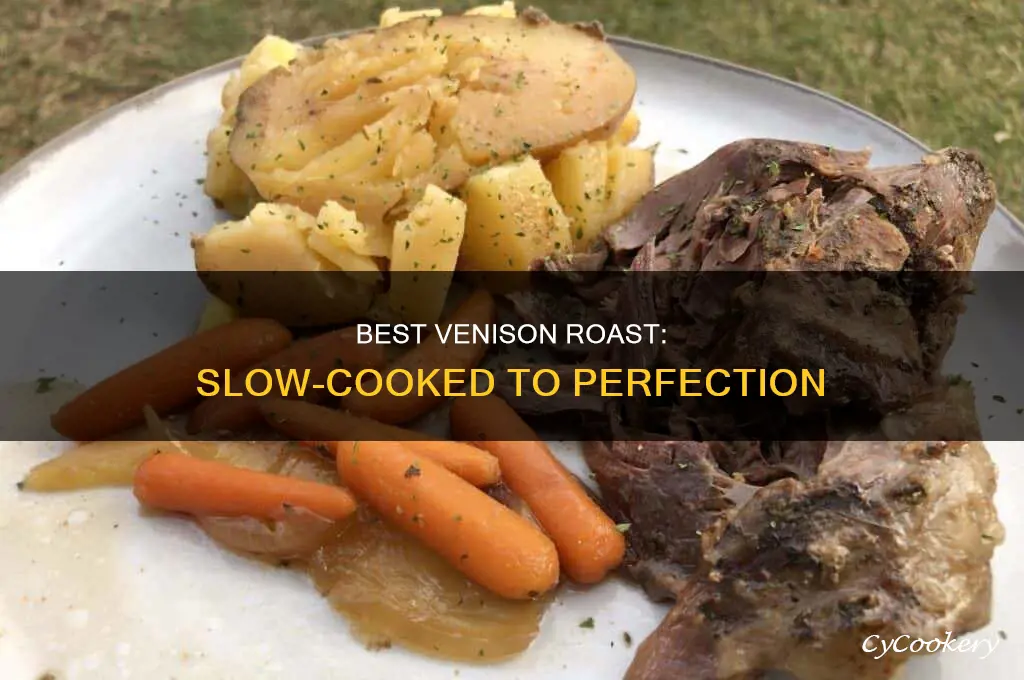how long to cook bone in venison roast crock pot