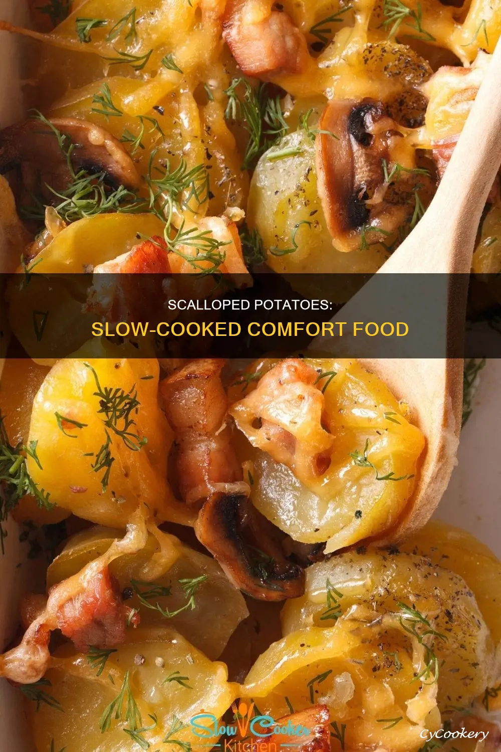 how long to cook boxed scalloped potatoes in crock pot