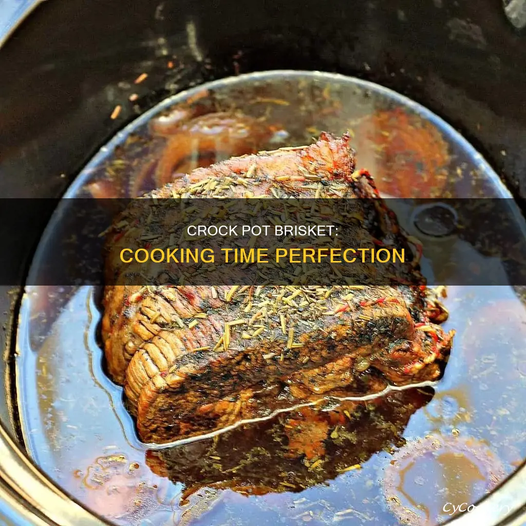 how long to cook brisket in crock pot