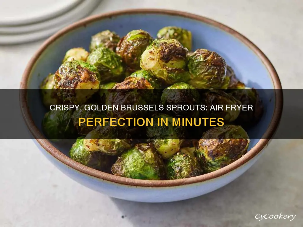 how long to cook brussel sprouts air fryer