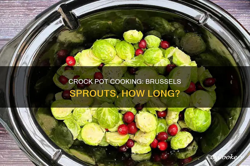 how long to cook brussel sprouts in a crock pot
